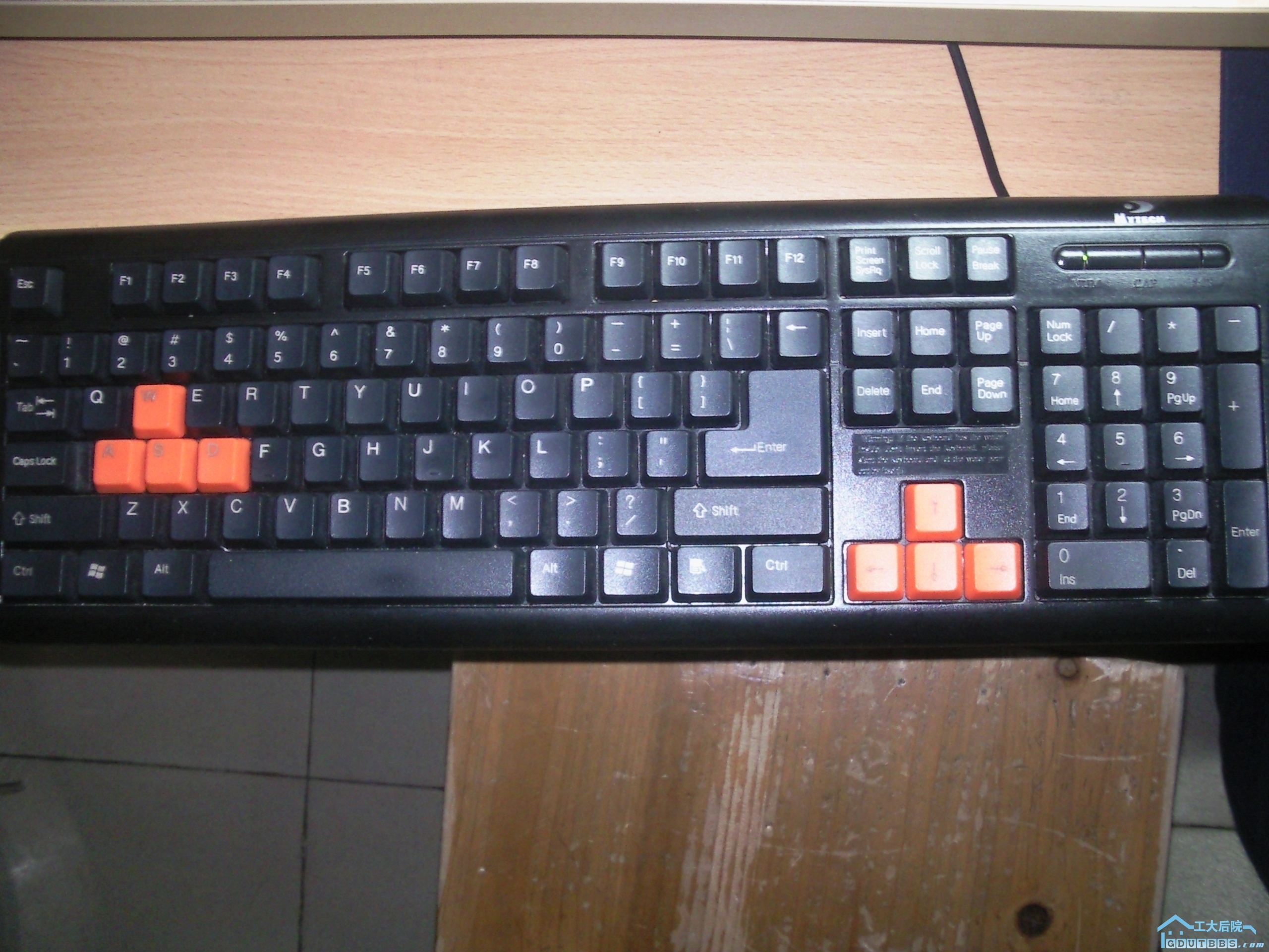 照片316.jpg