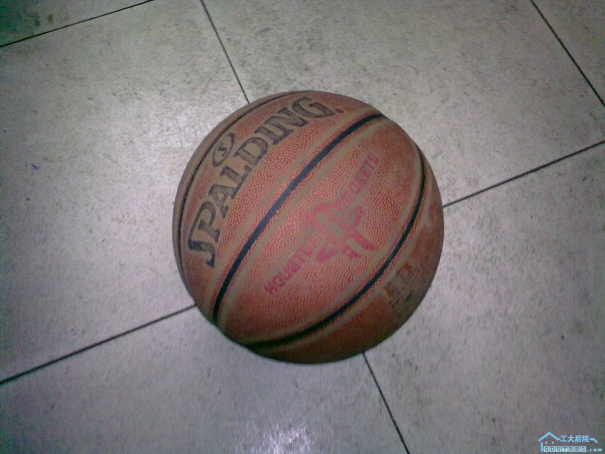 1103212008f28f5bf4f5d2e067.jpg
