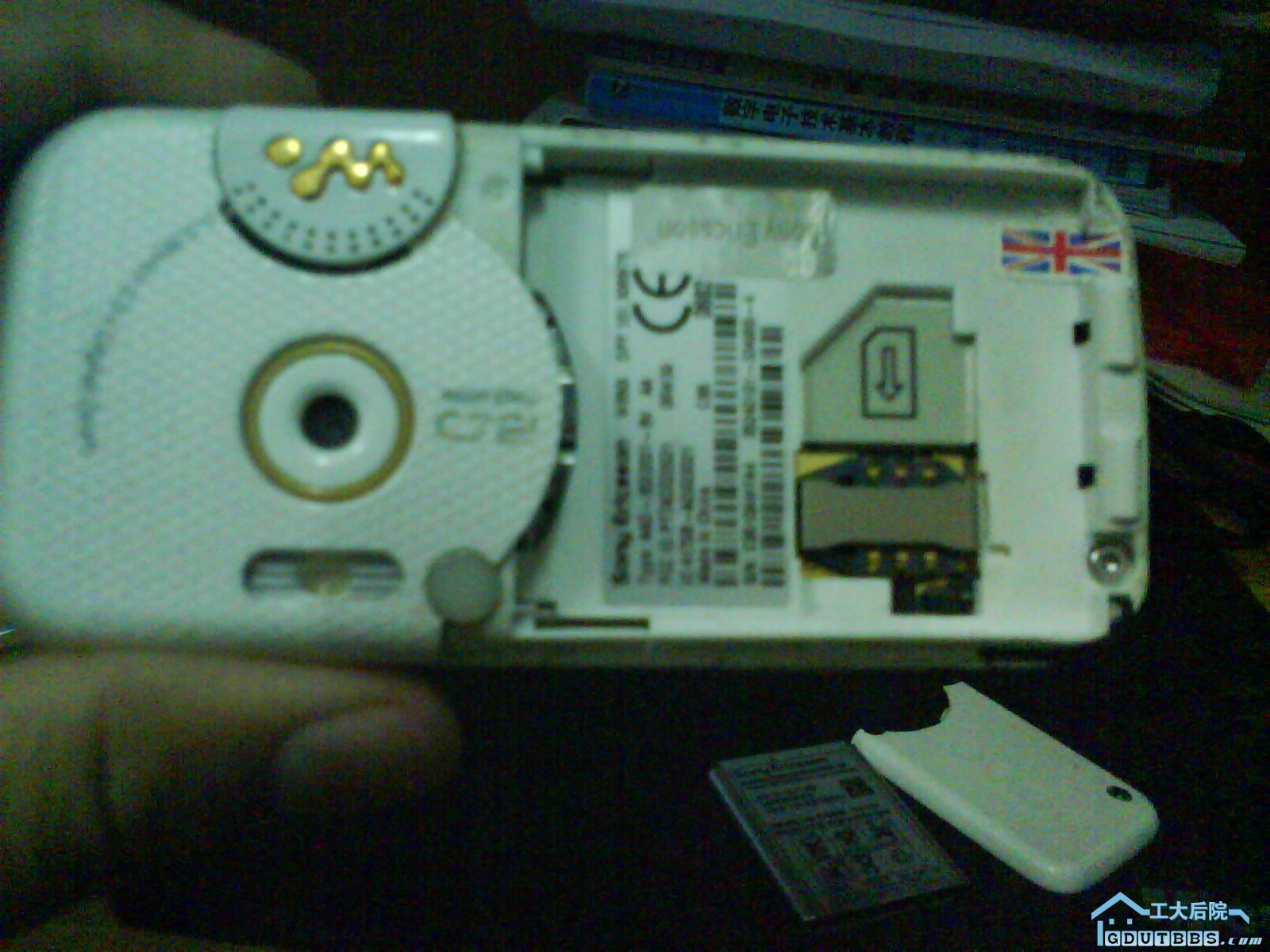 DSC00010.JPG