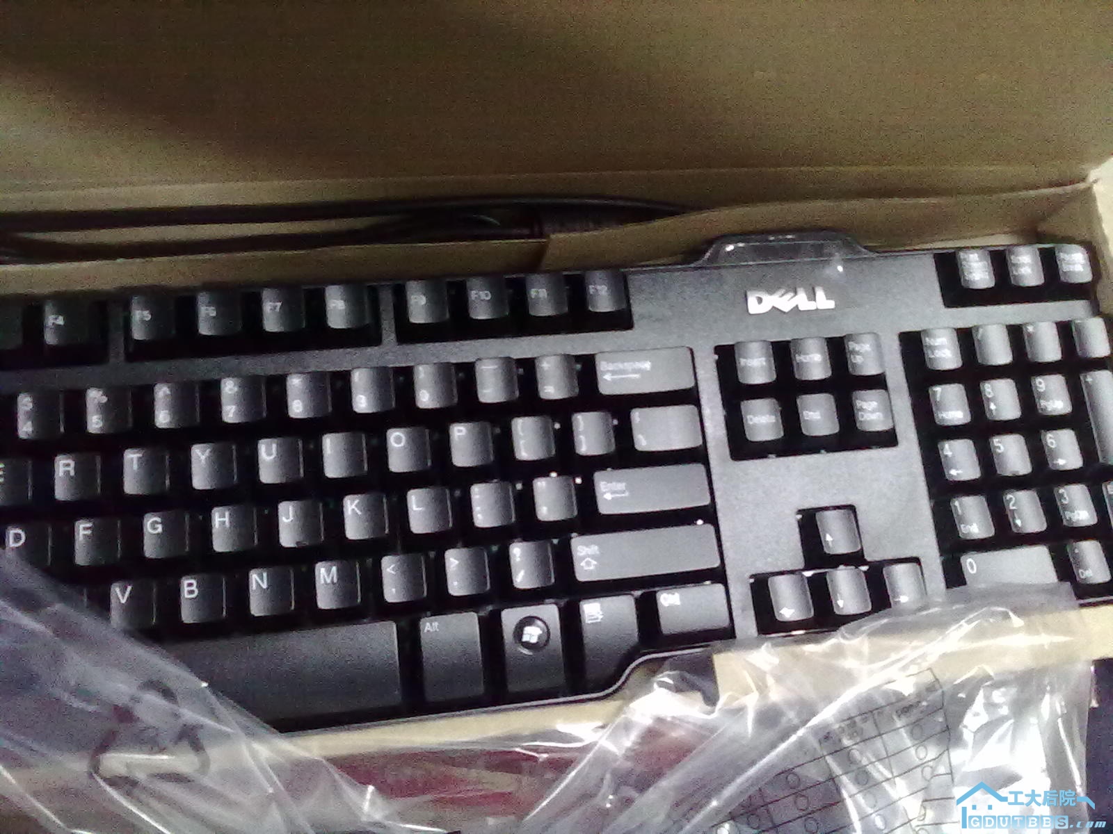 20110323406.jpg