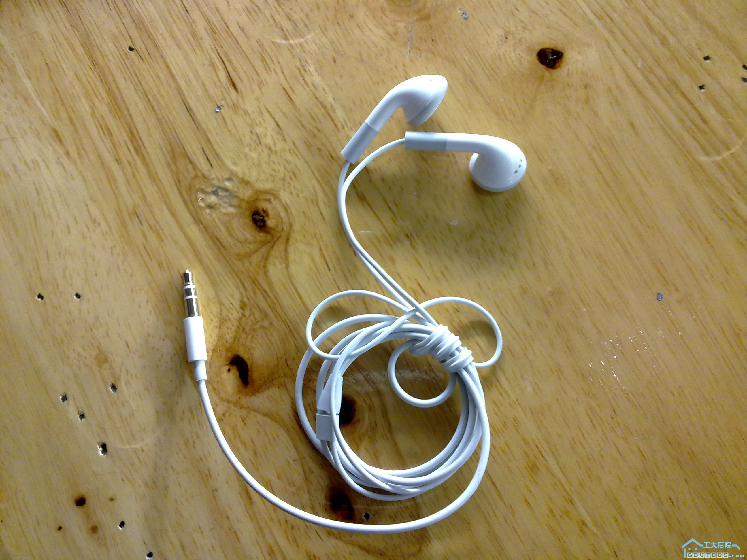 20100604.jpg