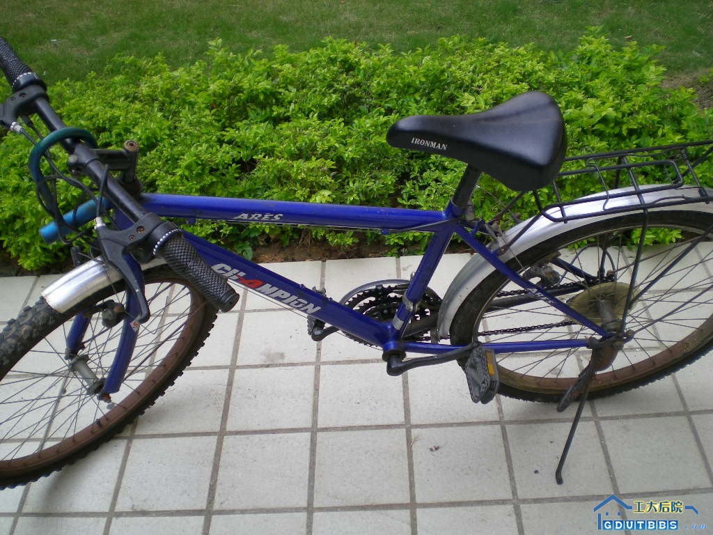 DSCN0969.JPG