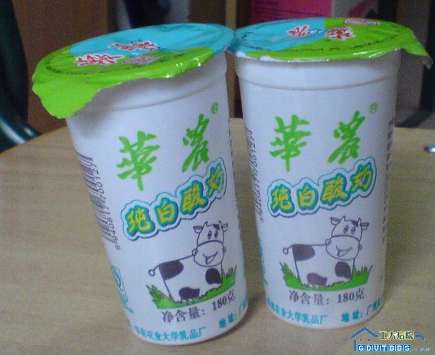 华农酸奶单瓶装