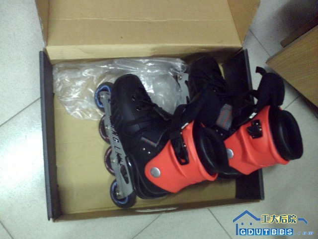 Photo_0004.jpg