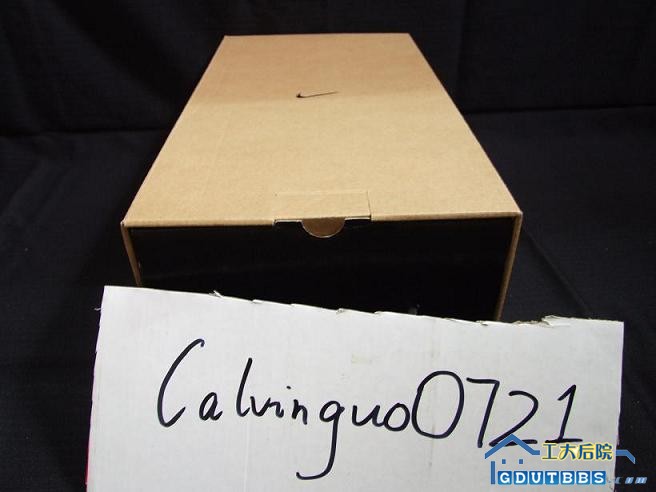 p4.jpg