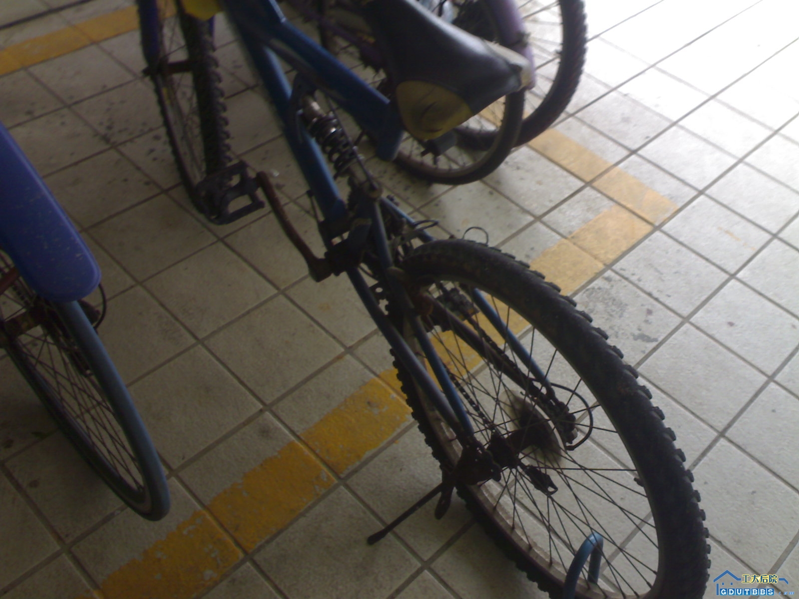 20080618054.jpg