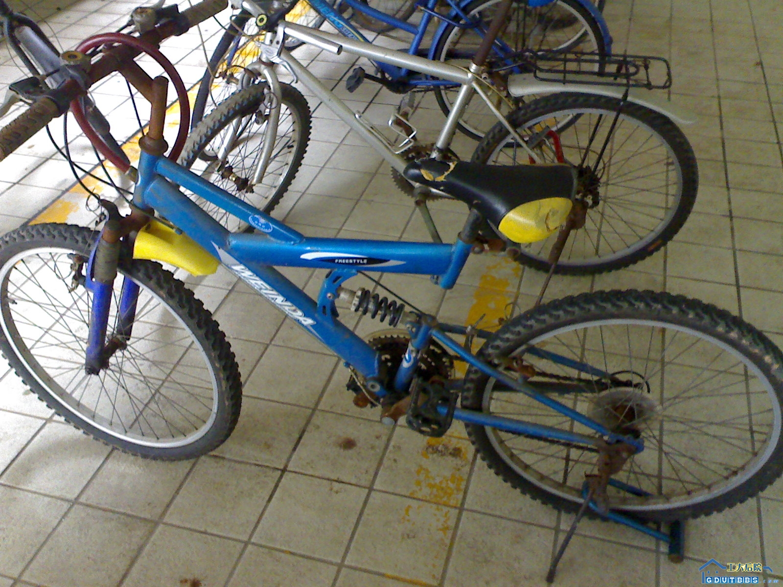 20080618055.jpg