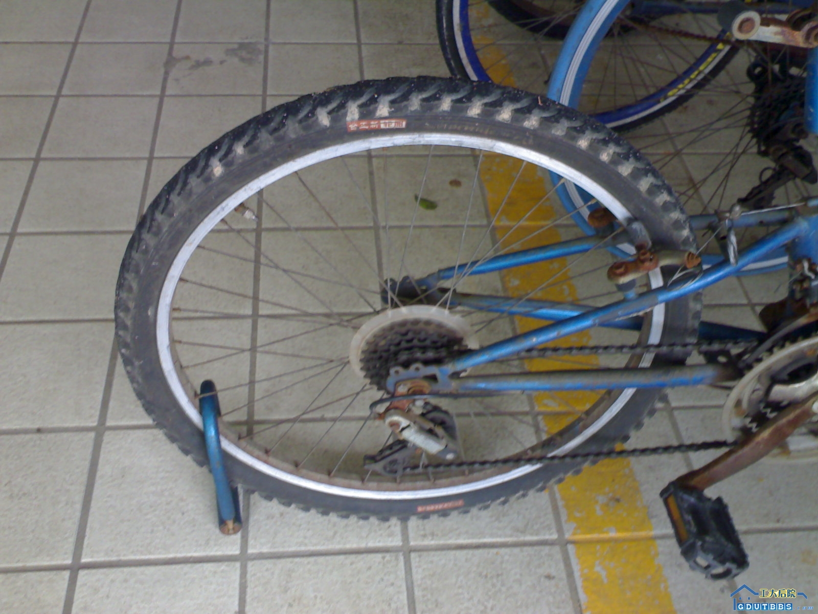 20080618051.jpg