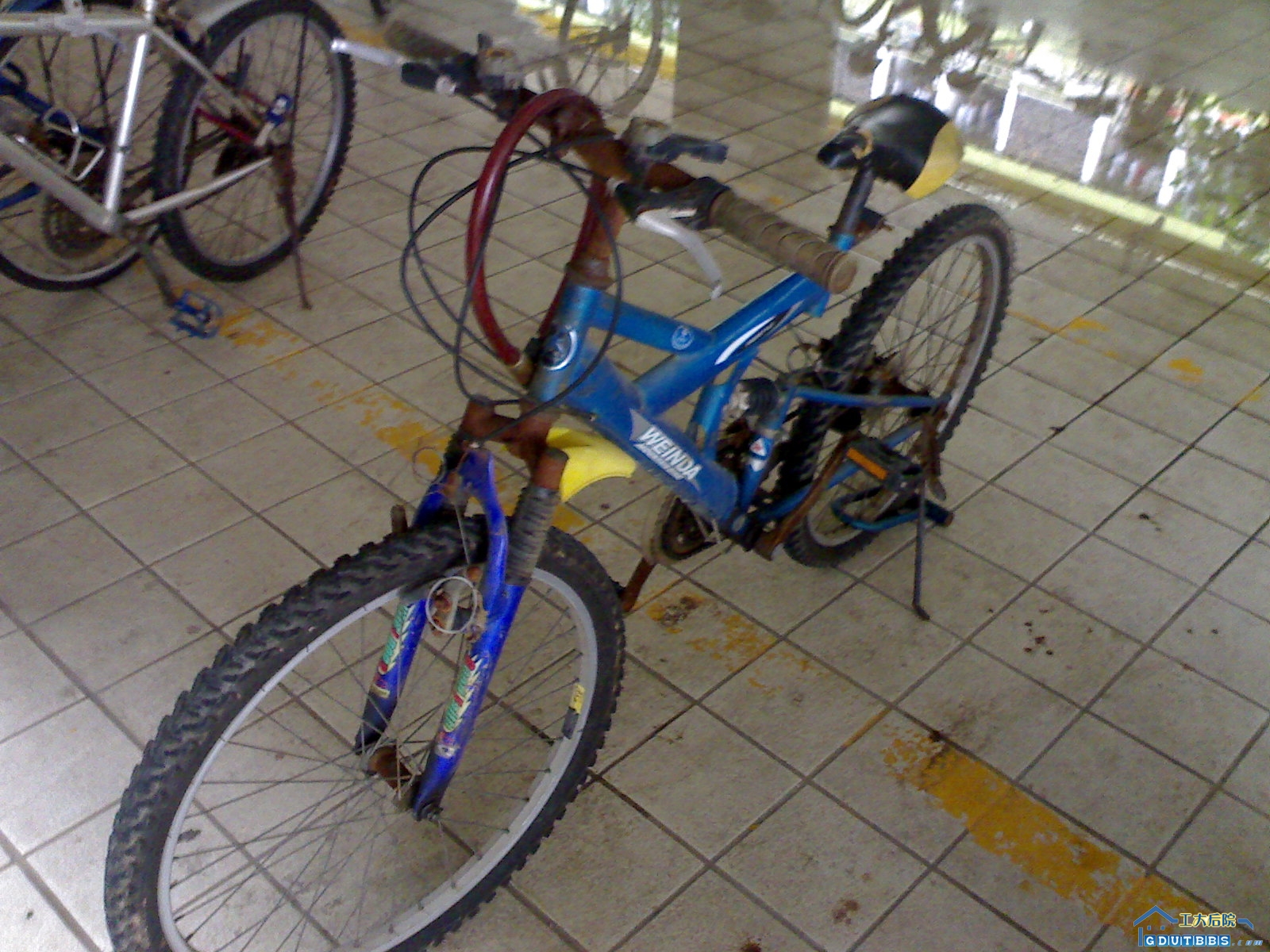 20080618056.jpg