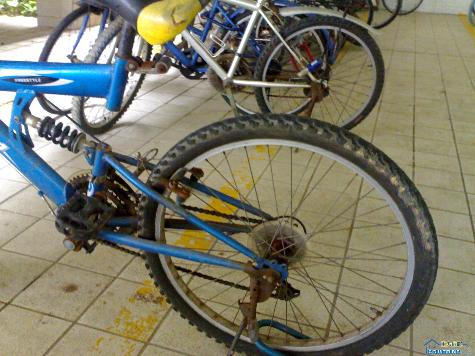 20080618058.jpg