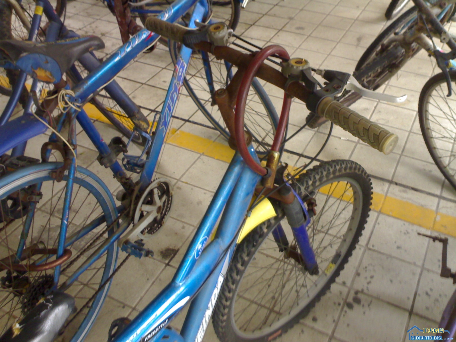 20080618052.jpg