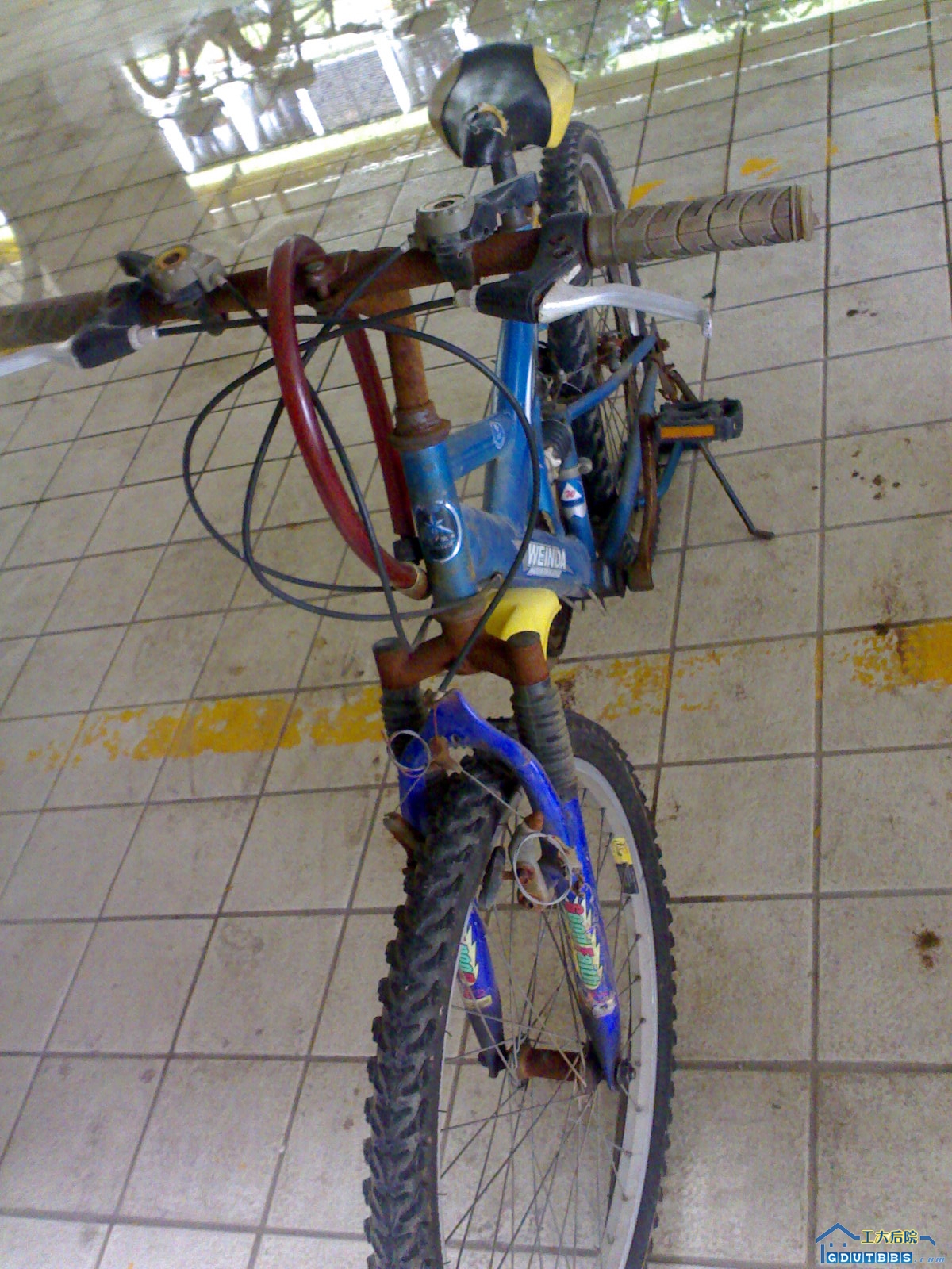 20080618057.jpg