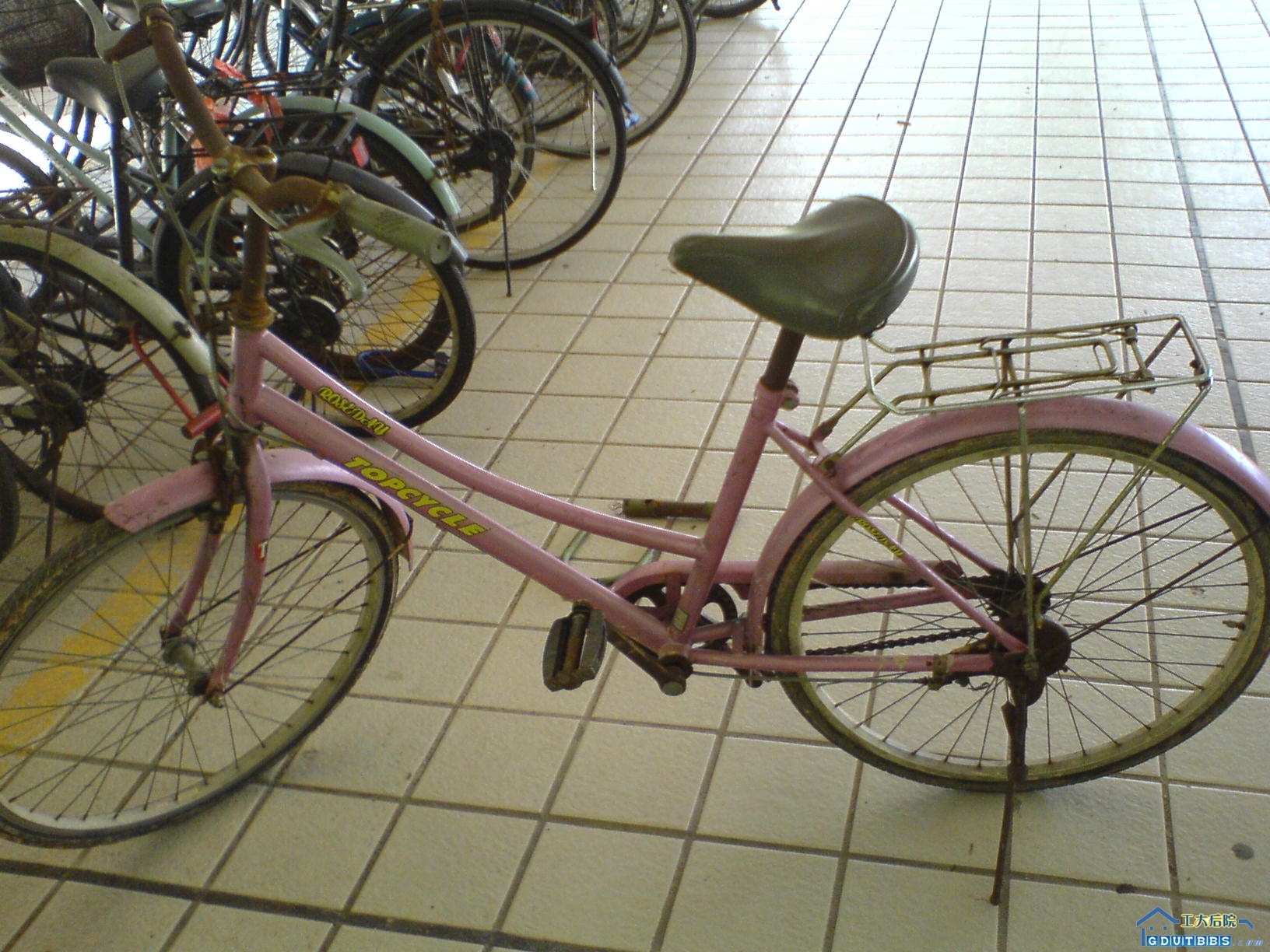 DSC00033.JPG