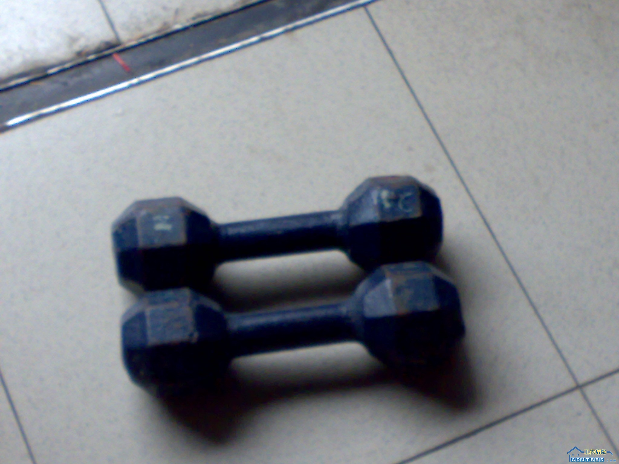 20080627209.jpg