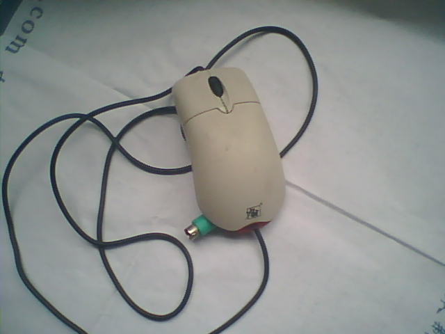 鼠标