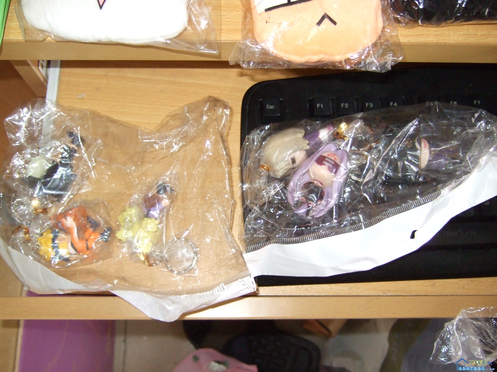 DSCF3701.JPG