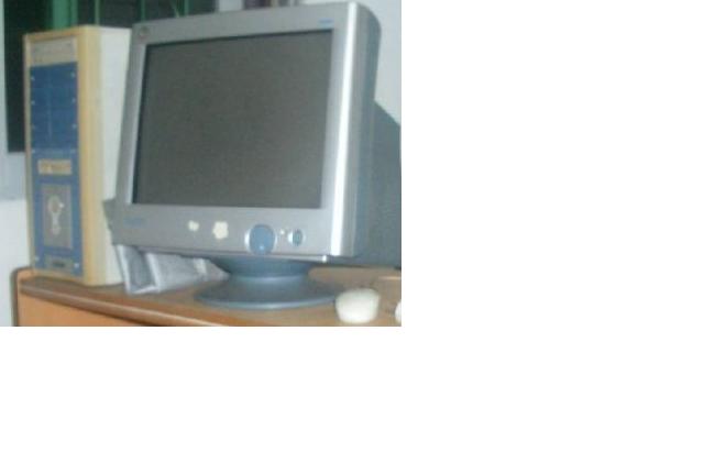2.JPG