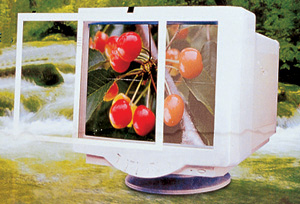 GF-001.jpg