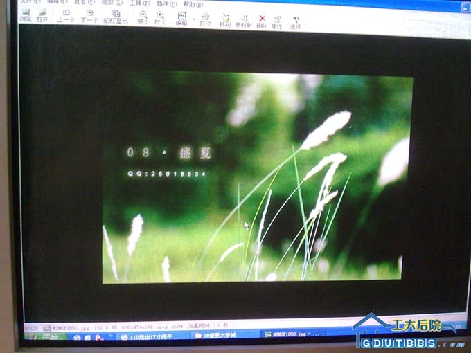 显示图片的效果（图片本身有横纹）