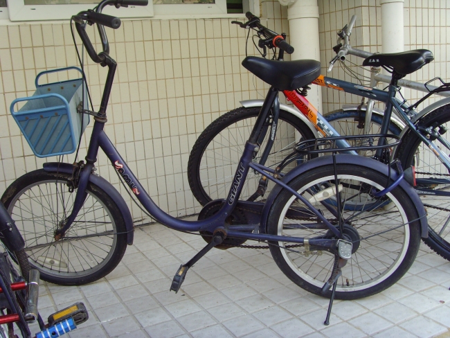 20081022_4f61f7872348248a279fFRyXUXrNQ3eh.jpg