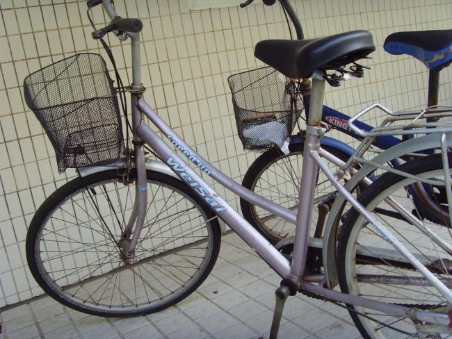 20081022_0db6521ba66b5bdeb614iT7hFtWOpqUJ.jpg
