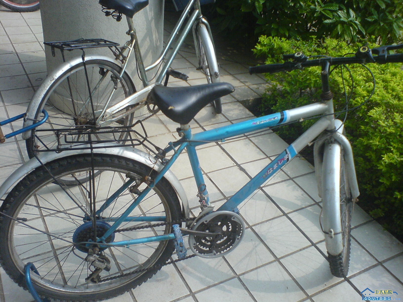 DSC00034.JPG