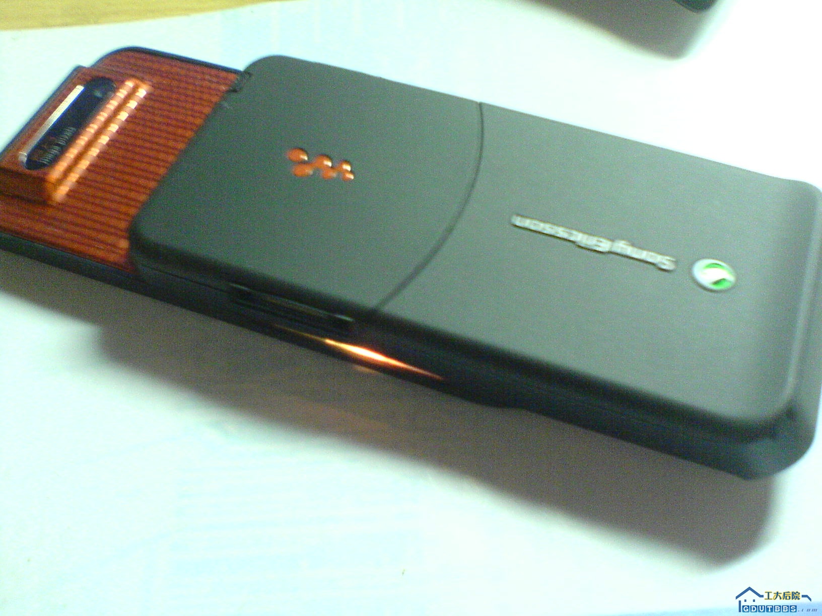DSC01085.jpg