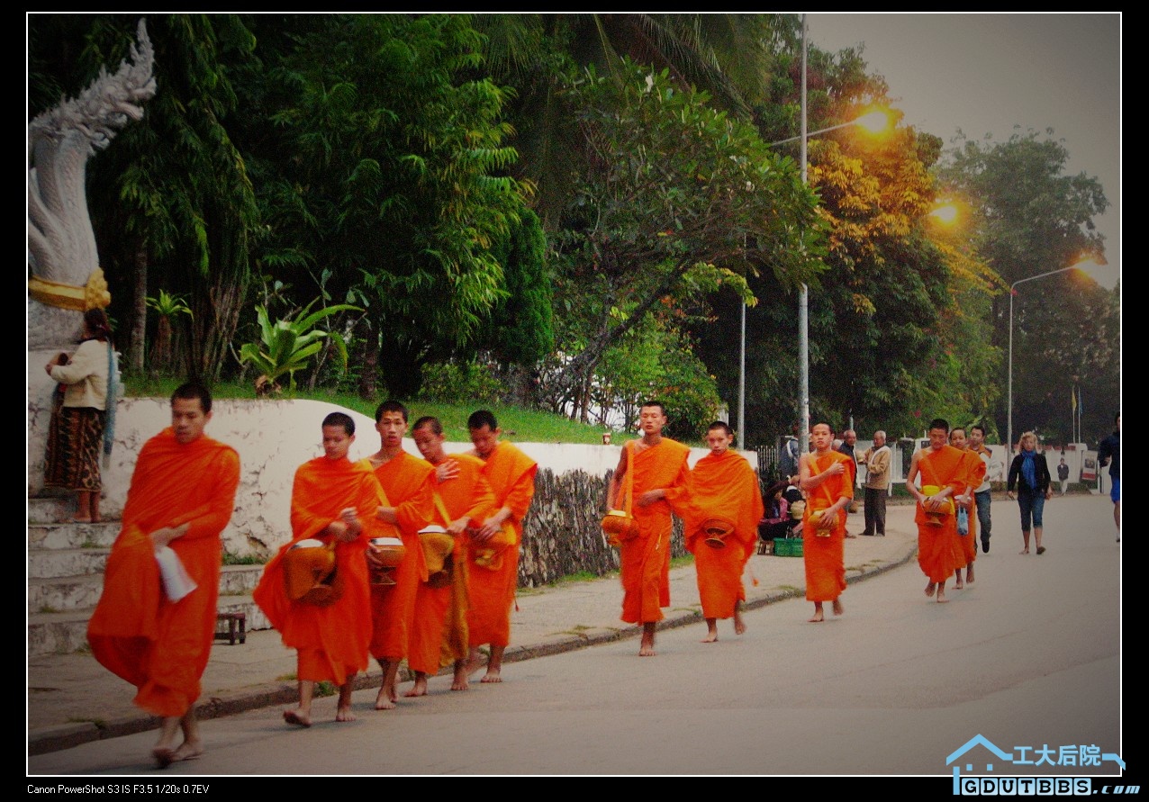 在老挝琅勃拉邦流传千年的布施到了今天依然没有停下脚步.JPG