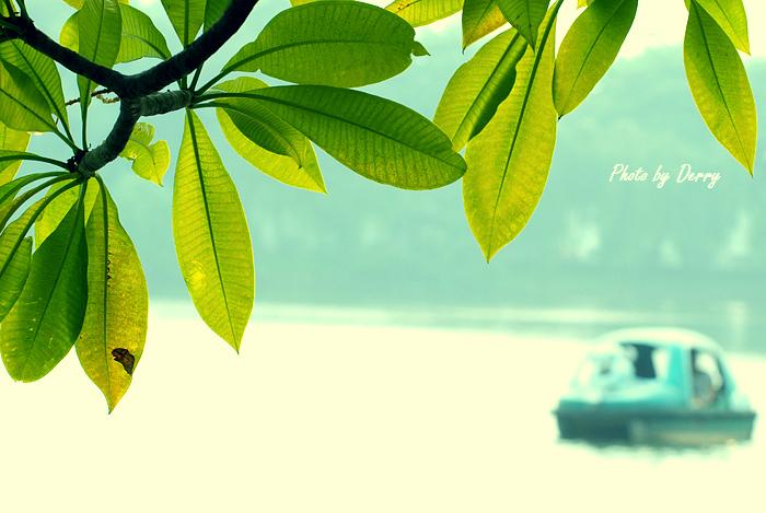 天气不错~情侣们都开开小游艇~湖中游玩！