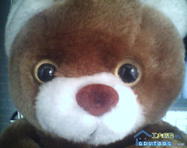 熊熊.jpg