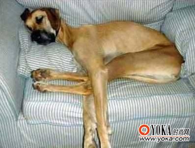 附带两张特别的