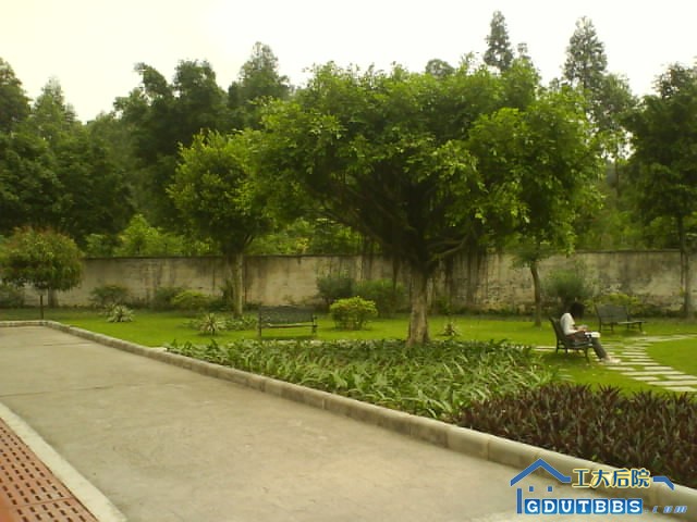 花园2.JPG