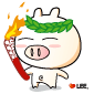IZ_200841694334_0014.gif