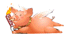 猪猪.gif