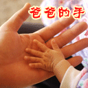 fuqing1_016.gif