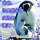 www.QShowMe.com_F1411E95B0604257.jpg