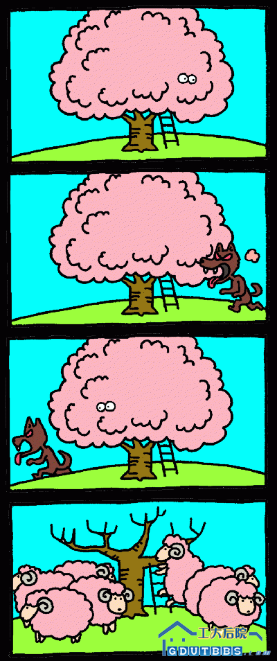 113707c625a.gif