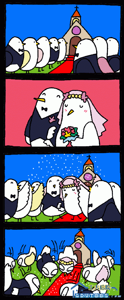 113707c5e82.gif
