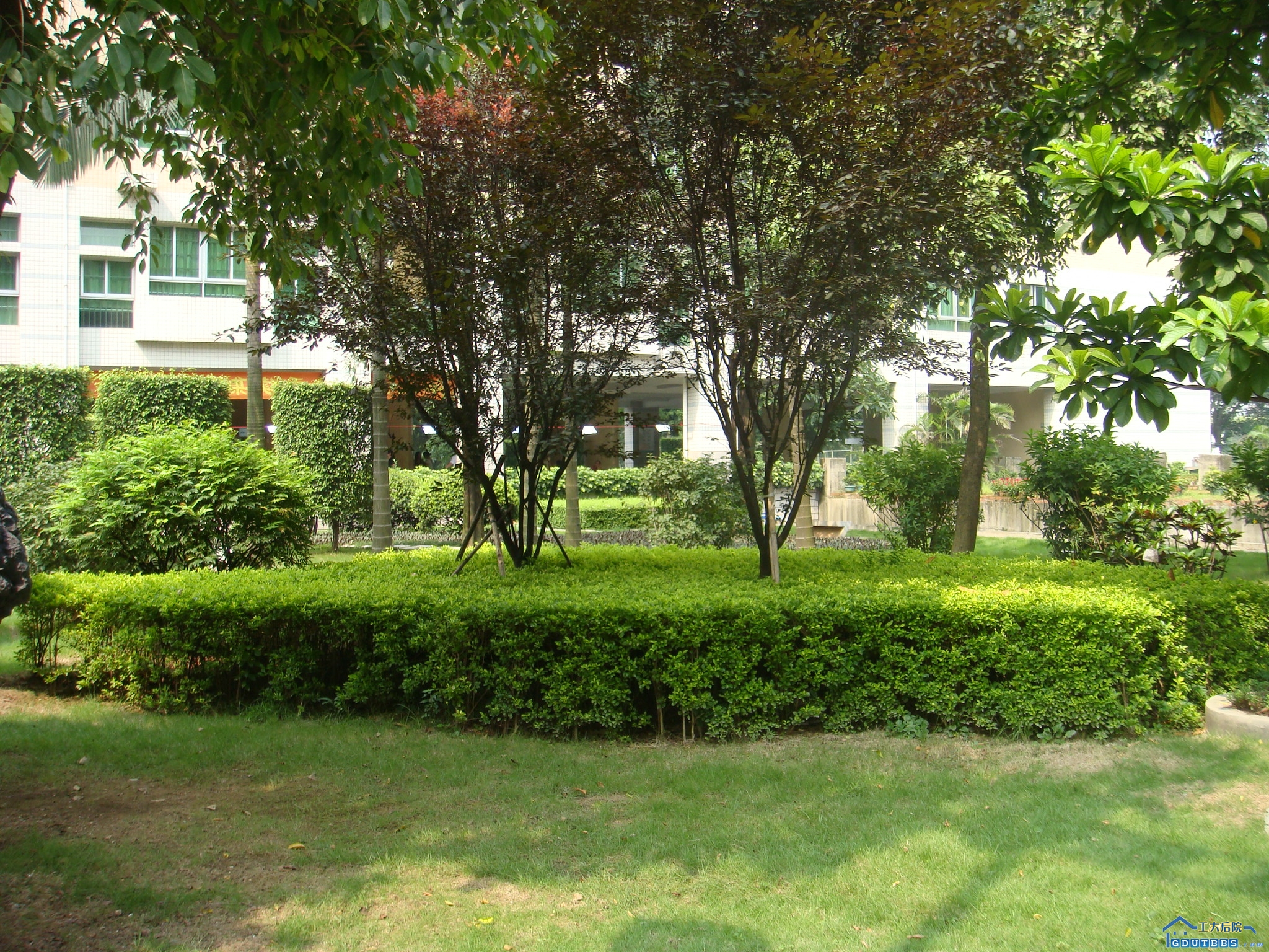 13.JPG