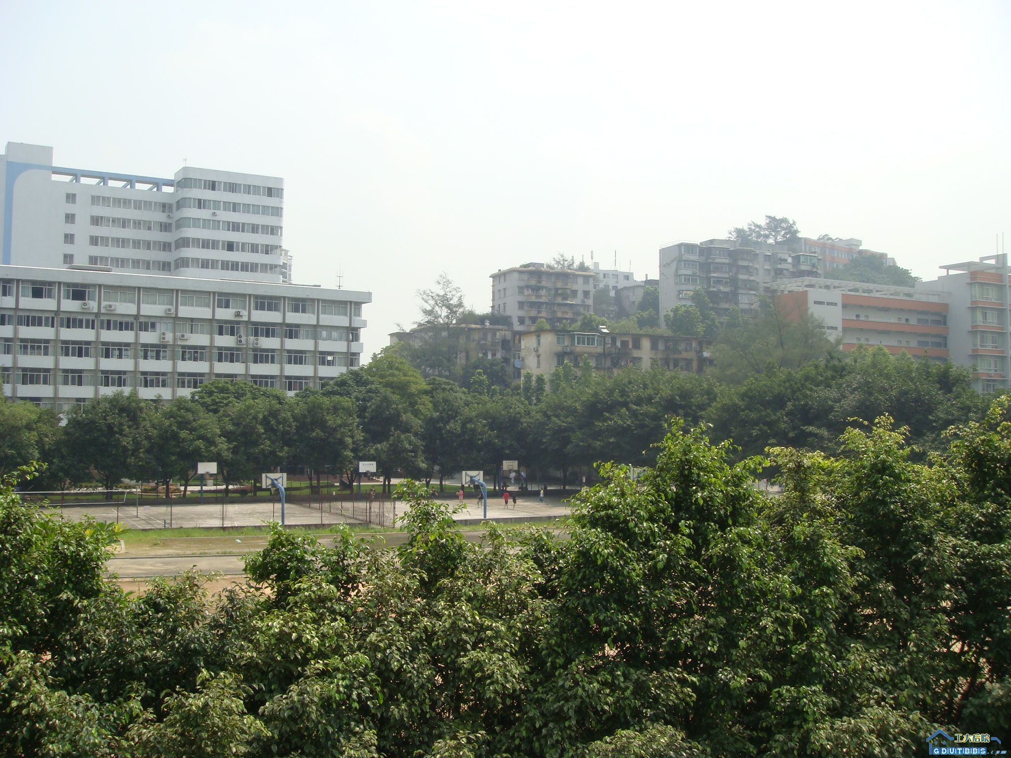 19.JPG