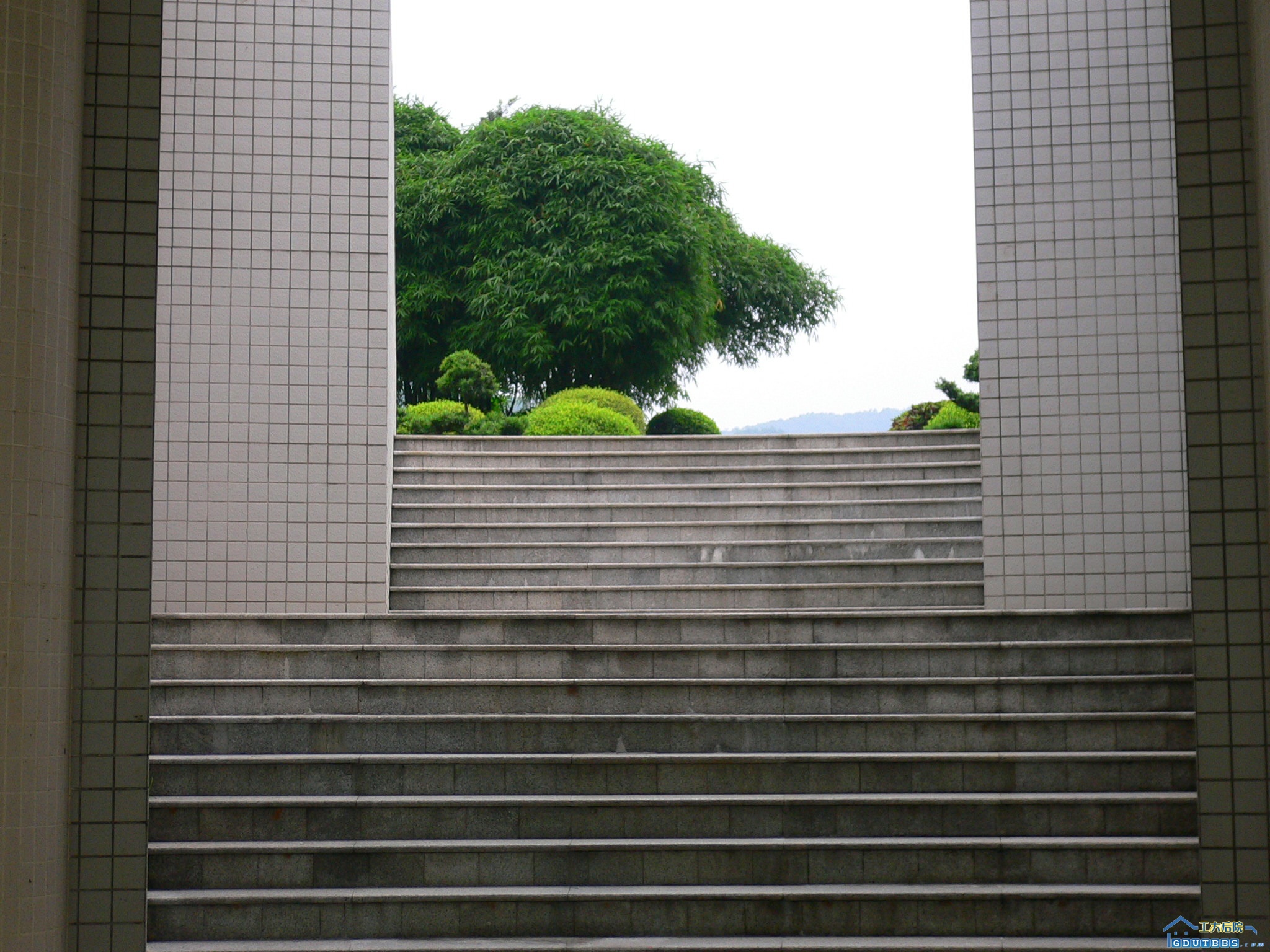 109AND110中间，同学拍
