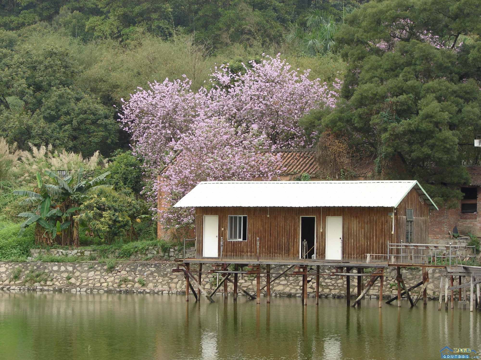 G区的，现在那白色屋顶的小屋已经不在了