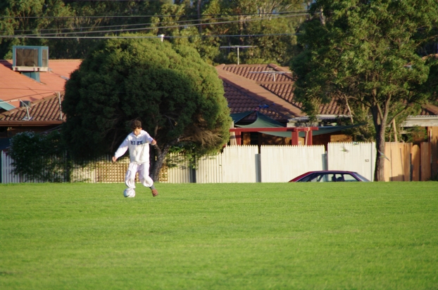 IMGP0508_th.jpg