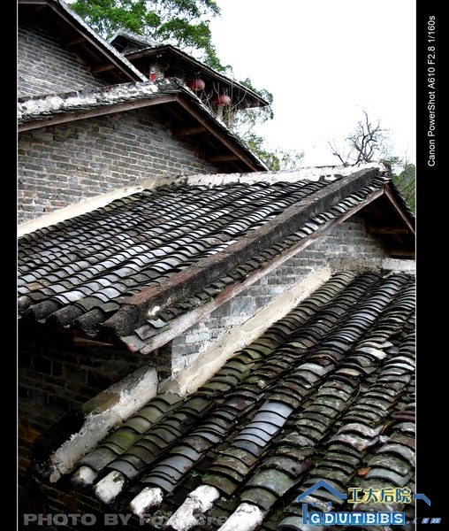 忘了是哪里的了