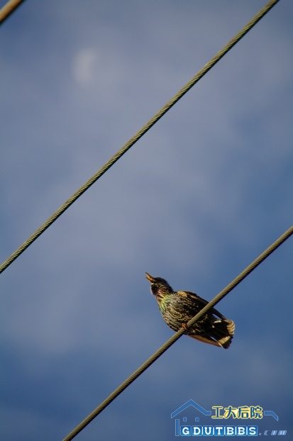 IMGP0497_th.jpg