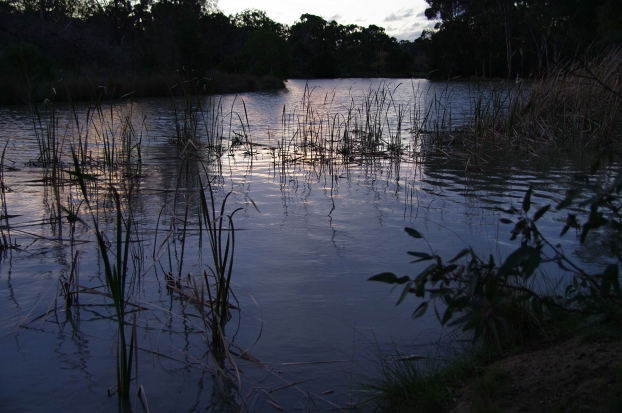 IMGP0550_th.jpg