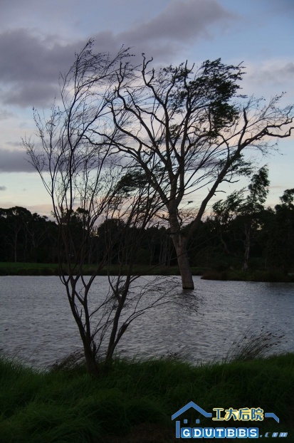 IMGP0525_th.jpg
