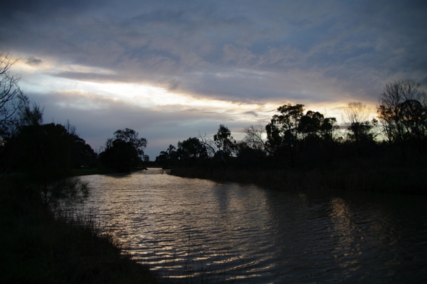 IMGP0547_th.jpg