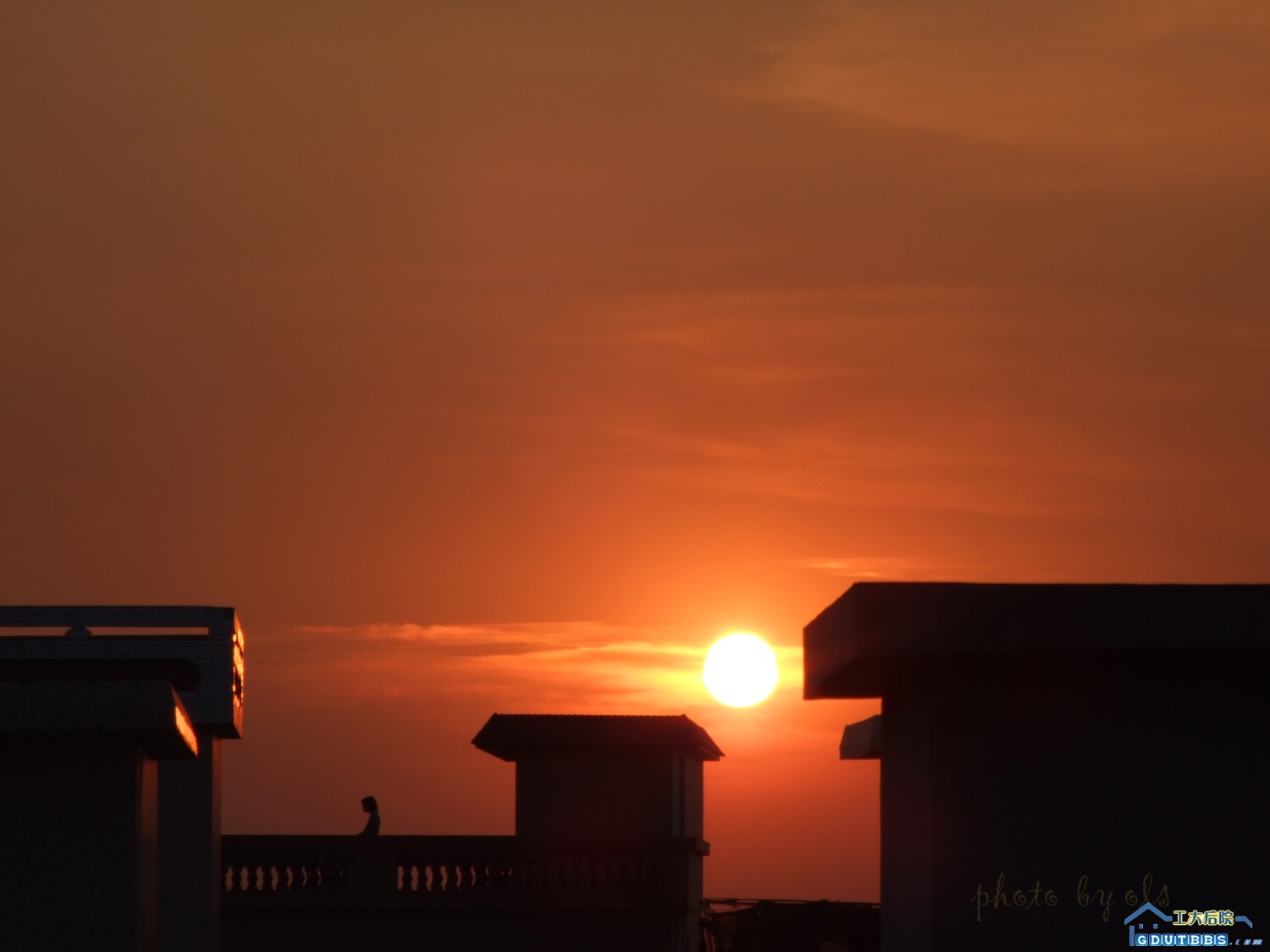 照片 389副本.jpg