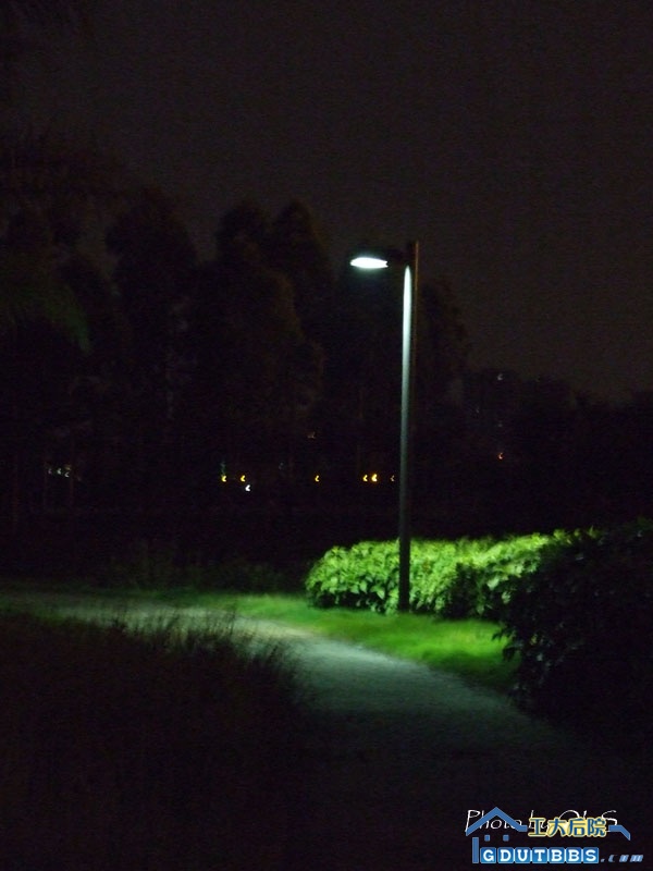 2007_0530我们的傍晚0218.jpg